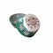 Green Teddy Bear Print Standard Size Cupcake Wrappers & Liners | 25 PC Set